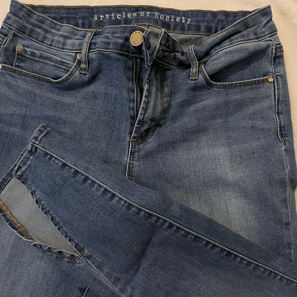 Articles of Society Jean
